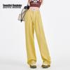 BEAUTIFUL WARDROBE Women's High-Waisted Casual Wide-Leg Pants