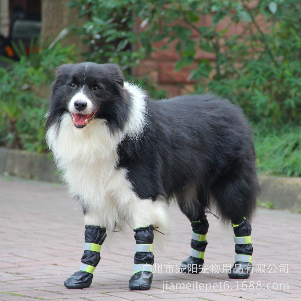 Rainproof Dog Shoes Medium and Large Dog Water Shoes Full Waterproof High Tube Rain Non-slip and Wear-resistant Pet Shoes