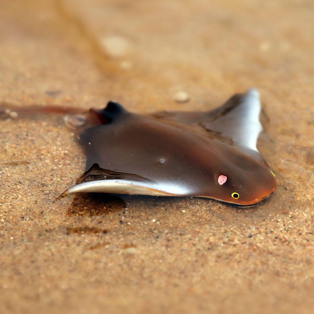 Fish Model Manta Ray Model Miniature Sea Life Action Figurines Ocean Animal Figures  Kids Toy