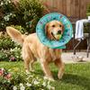 Comfortable Dog Recovery Collar Soft Cat Protective Collar Pet Cone Collar  Grooming