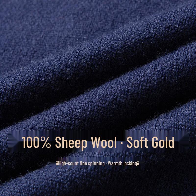 Hengyuanxiang Men's 100% Pure Wool Pullover Semi-High Neck Sweater
