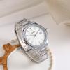 BUREI Analog Quartz Simple Date Stainless Popular Day Luxury Watch Men's Watch, Design, Display, Waterproof, Easy-to-Read Steel, Brand, Silver,