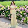 Island vacation beautiful long skirt light luxury mesh tube top dress skirt sexy waist hip fish tail dress