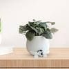 Smile Face Planter Pot 3D Printed Cute Holding Tennis/Soccer Head Flower Pot with Drainage Hole for Indoor Outdoor Home Garden Decor