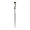 Piccasso Proof Silver06 Concealer