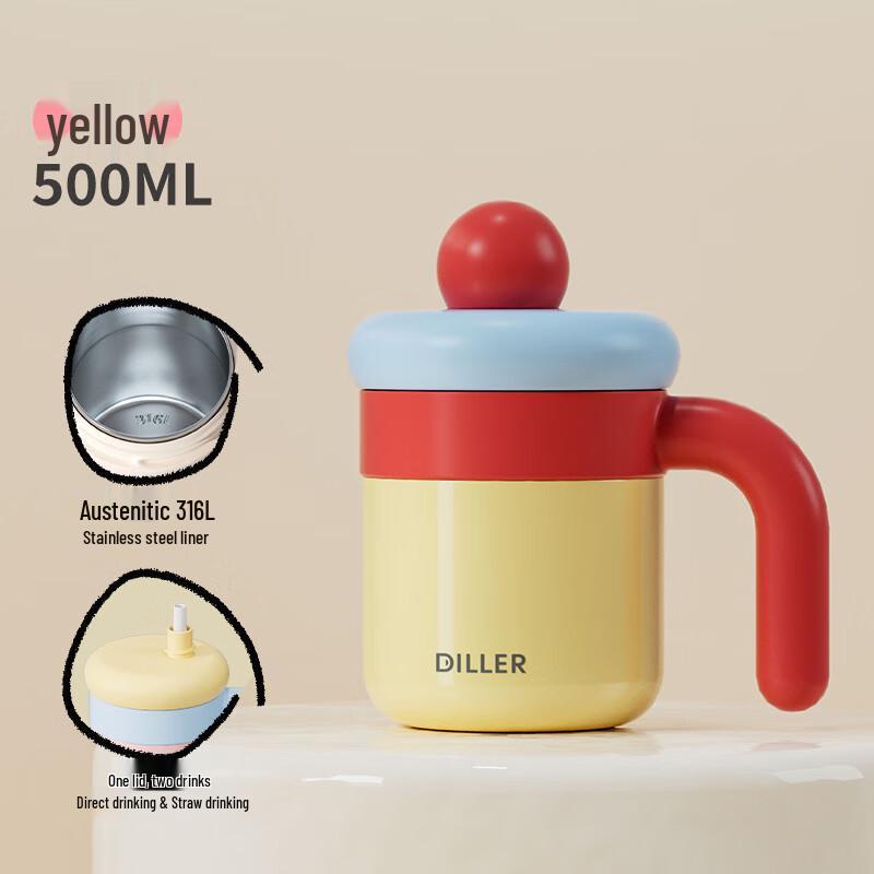 Diller Insulated Stainless Steel Water Bottle