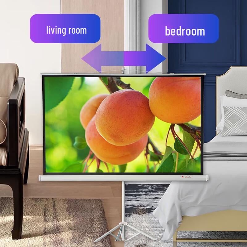 

Hongye 100-inch 16:9 Floor Standing Projector Screen