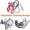 2026 Pet Bird Harness Adjustable Parrot Bird Harness Leash Pet Anti-Bite Training Rope Outdoor Flying Harness