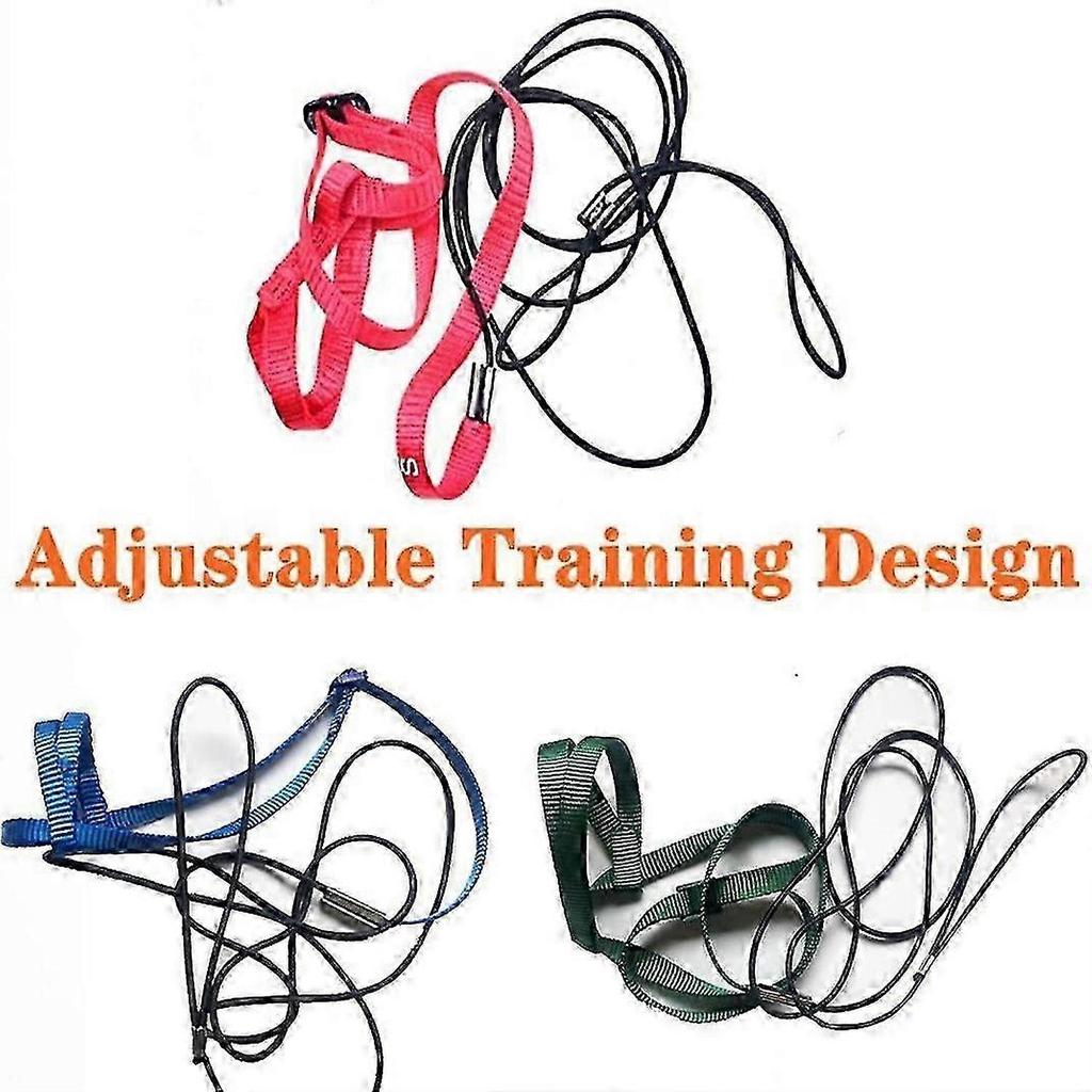 2026 Pet Bird Harness Adjustable Parrot Bird Harness Leash Pet Anti-Bite Training Rope Outdoor Flying Harness