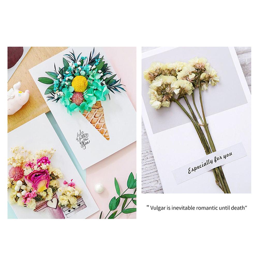 1 Bag Dried Flowers Pressed Dry Flower For DIY Phone Case Epoxy Resin Filling Pendant Jewelry Making Crafts Nail Art Decor