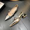 Spring pointed silver high-end single shoes medium heel Mary Jane shoes thick heel high heels