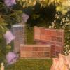 Rom&nd Better Than Palette 01 Pampas Garden Eyeshadow Palette