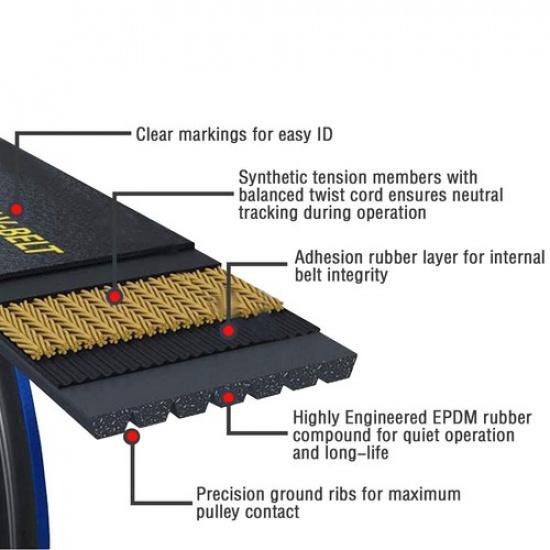 Tensioner Pulley & Serpentine Drive Belt Kit Fit for 2006-2011 Honda Civic 1.8L