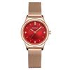 Ladies Quartz Watch, Premium Light Luxury Steel Mesh With Dial Diamond Water Watch 6779