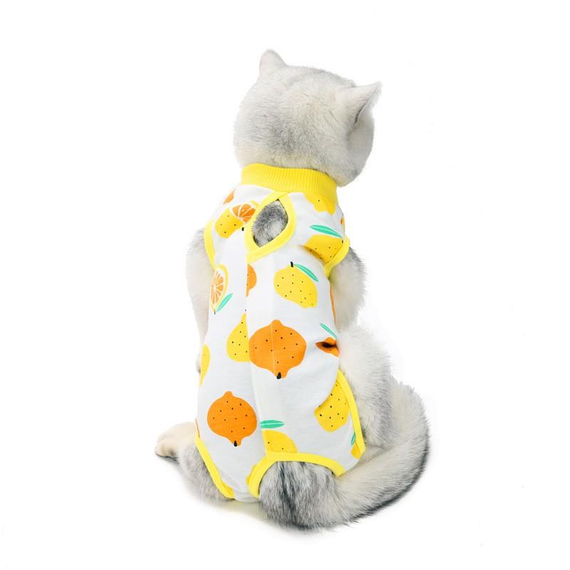 Cat Recovery Suit Post-Spay Neuter Surgery Protective Vest Breathable Cotton Fruit Print Kittens Adults