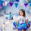 PinkBlume Winter Purple, Silver, and Blue Triangle Flag Fabric Garland Banner Party Decoration, Smooth Bright Colors, Purple, Blue, and Silver Winter