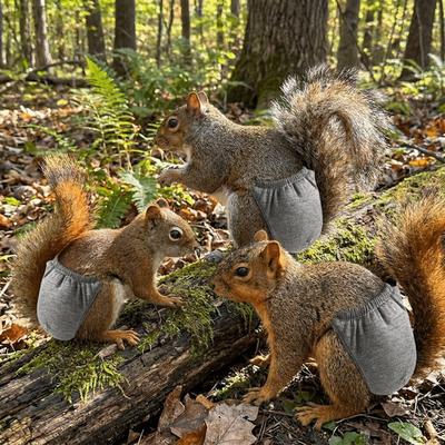Adjustable Pet Training Pants Absorbent Squirrel Underwear Squirrel Diapers  Potty Training