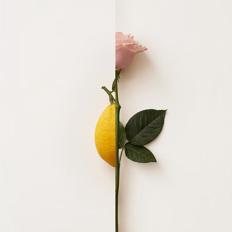 Burberry My Burberry Women's Fragrance