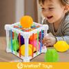 7pcs Infant Fruit Sensory Boxes for Baby Development Educational Toys Box
