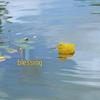 Cute Floating Yellow Duck Ornament for Fish Tanks, Pools, and Ponds