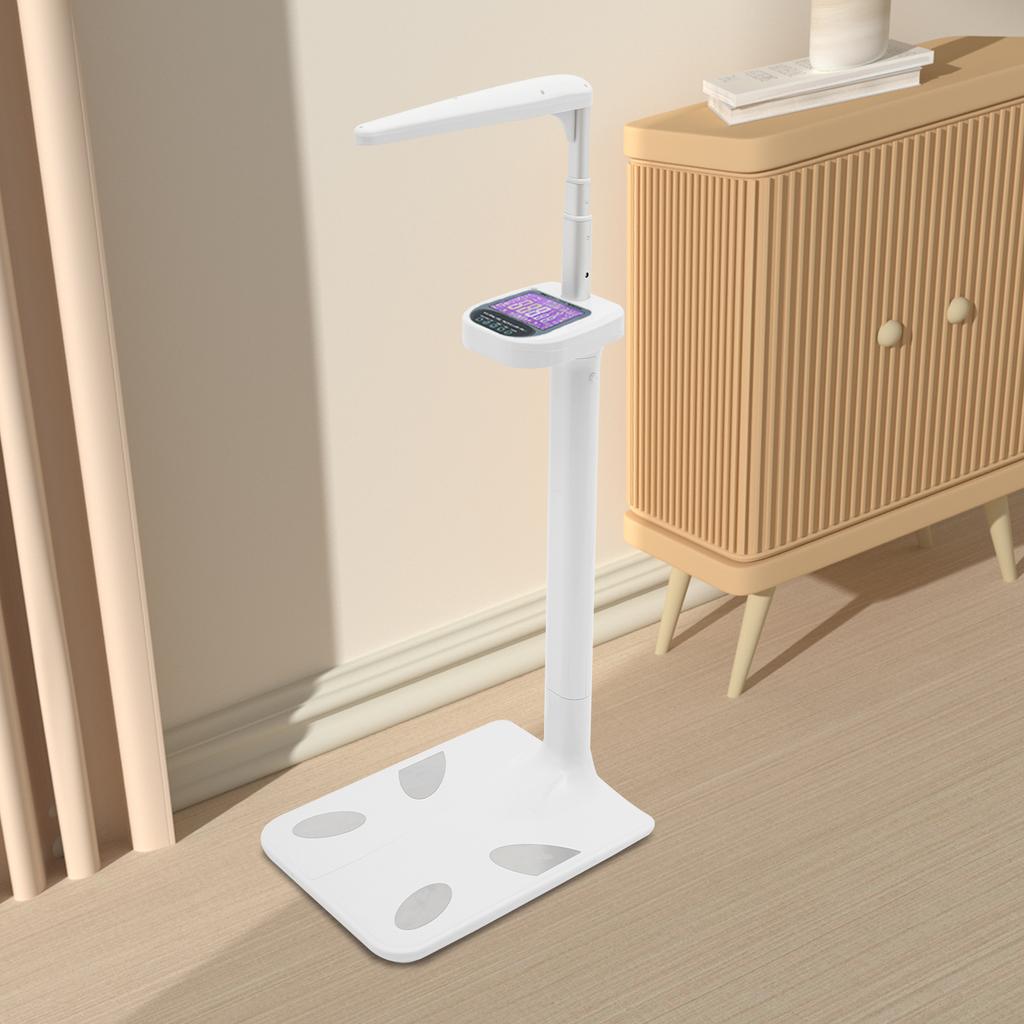 Ultrasonic Height Body Fat ABS Analyzer,100-240V White Physician Medical Body Weight Scale Floor Standing for Homes,Gyms