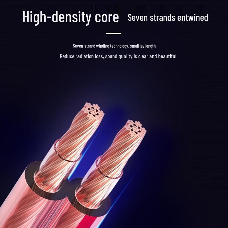 SAST Professional Speaker Audio Cable CN plug (adapter included)