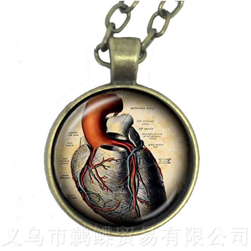 Human Anatomy Organ Necklace Glass Cabochon Science Medical Punk Brain Eye Jewelry Sweater chain Creative Gift