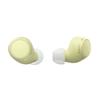 Sony WF-C510 True Wireless Bluetooth Earbuds