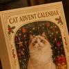 Festive Party Favors Christmas Advent Calendar for Cat Lovers, 24 Day Countdown Box with Holiday Room Decor Acrylic Pendants, Tree Hanging Decorations