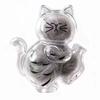 Transparente Katzenhaare Aufbewahrung Kühlschrankmagnete Haustierfell Andenken Kapsel DIY Souvenirs Katzen Schnurrhaare Sammler Kühlschrankmagnet
