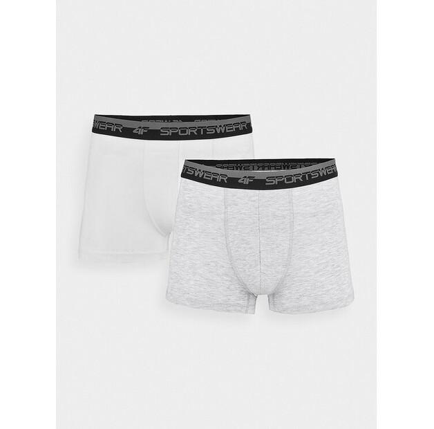 Боксеры 4F 4FWSS24UBXSM036 EU XXL