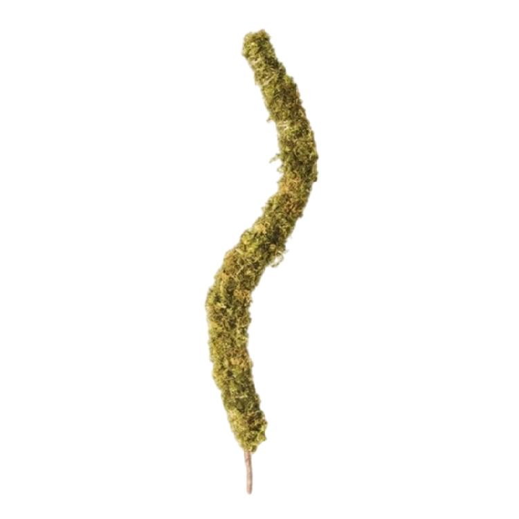 Plant Support Flexible Plant Stake Living Room Plant Stand Plant Climbing Support Suitable for Indoor Plant Growth
