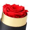 Forever Preserved Roses In A Box, Birthday Gifts for Women Everlasting Decor Fresh