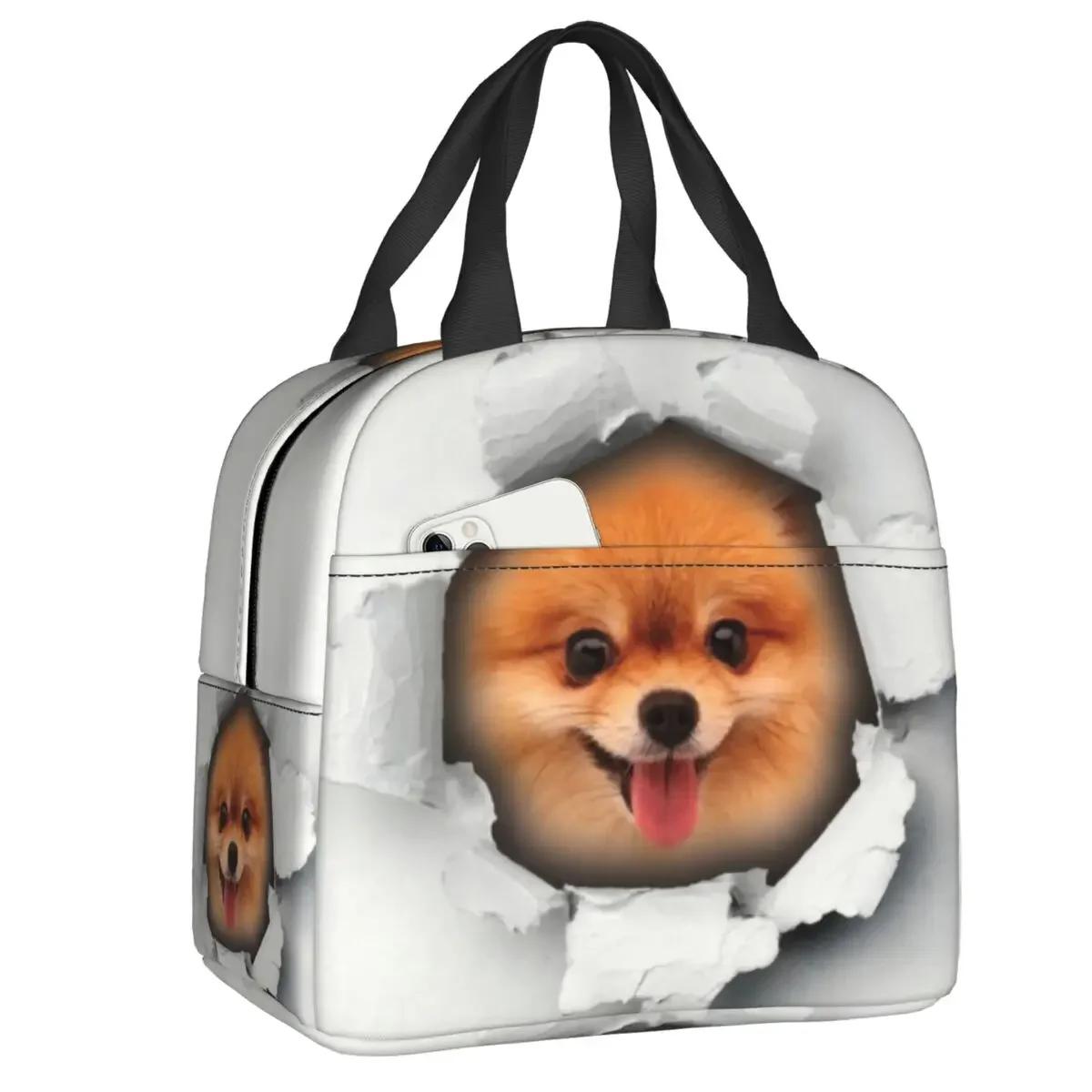 

Love Pomeranian Dog Pattern Изолированная сумка для обеда для женщин Портативный охладитель для щенков шпица Термобокс для бенто, офис, работа, школа 22x20x13CM серый