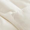 Playboy Soft & Warm Cotton Cover Winter Comforter