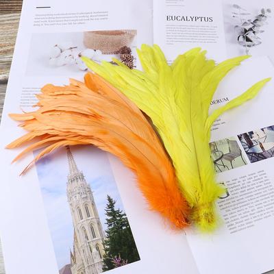 50 Stuks Natuurlijke Hanenstaartveren Set 25-40Cm Toneelkleding Decoratie Veren Handwerk Bruiloftsfeest Decoraties