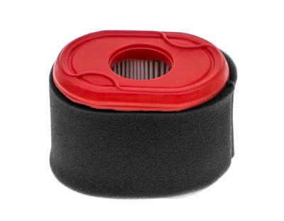 B&S Series 550 Air Filter Original Part 796970