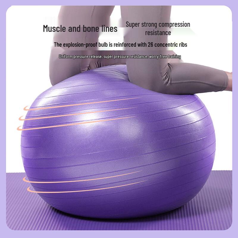 Xin Jing Zhou PVC Yoga & Fitness Ball