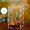 Reptilien Terrarium Gehege Acryl Reptilien Habitat Terrarium Zuchtbox Transparent Spinne Skorpion Bartagame Habitat