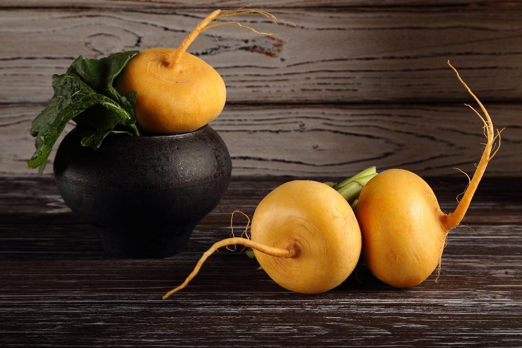 SAFLAX Bio - Rübe - Goldana - 500 Samen - Mit Blumenerde für eine bessere Kultivierung - Brassica rapa