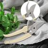 Garden Pruning Shear Scissors Flowers Tree Branches Cutting Tool Gardening Pruner(Black)
