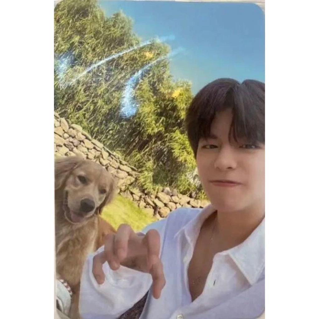 Stray Kids Stay In STAY In JEJU JYP SHOP SKZOO STORE OFFICIAL PHOTO CARD