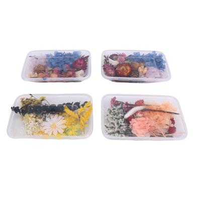 4 Caixas de Flores Secas Fofas Elegantes Cores Vibrantes Conjunto de Flores e Plantas Secas para Fazer Velas de Aromaterapia Leque Foto