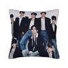 ALD1 A-ALPHA DRIVE ONE Pillow Case  Comfy Pillow Cover For Sofa Bedroom Home Decor Vintage Pillowcases