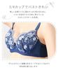Nissen Innerwear Small Floral Embroidered Bra and Panties Set (5-Piece Set) (Feminine Colors) D80/L