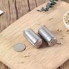 2Pcs Mini Stainless Steel Cooking Tool Spice Shaker Seasoning Jar Salt Sugar Bottle Pepper Spice Shaker Bottle Multifu Dispenser