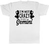 Im Not Crazy Im Just a Gemini Unisexs Unisexs Ladies Unisex TShirt