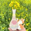 Colorful Acrylic Mini Vase Fridge Magnet Cat Whiskers Collection Ornaments Cat Hair Display Home Office Decor Party Gift