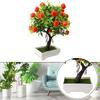 Orange Tree Diameter 22cm Green Non Toxic Brand New