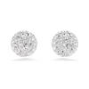 Earrings Dextera Spear Stud 5700290